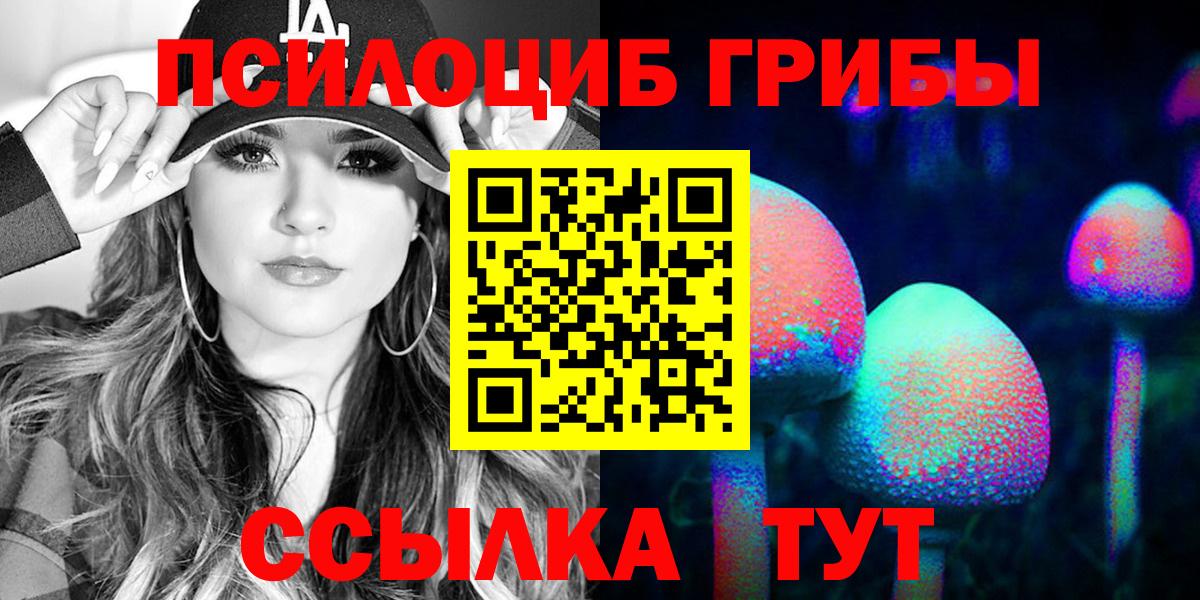 Псилоцибиновые грибы Psilocybine cubensis Вязьма