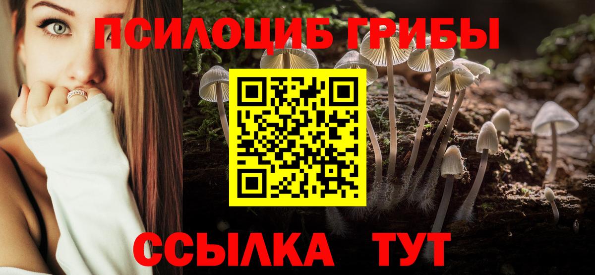 Псилоцибиновые грибы Psilocybe  Вход с VPN  Вязьма 